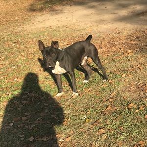 Meet your Posher, Steven